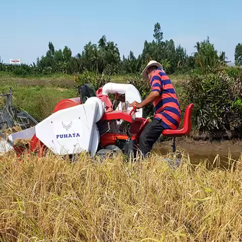 Cheapest Mini Tractor Mounted Wheat Rice Combined Reaper Harvester Harvesting Machine Price for Whea