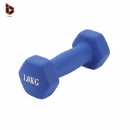 blesiya Women Dumbbell Beginner Hex Dumbbell Kit Cast Iron Weight Set for Bodybuilding Strength at H