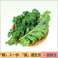 輕食羽衣甘藍-蔬菜之王(500-600g)