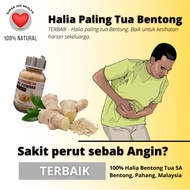 [Best. Ginger Bentong Old]. Bentong Old Ginger Grade 5A. Gingerbentong. Bentongginger. Best Old Ging