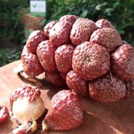 Buah Kelubi /Buah kelubi sesuai untuk jeruk👍🏻harga untuk 1kg🥰
