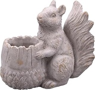 Dellki Sogno Pot Squirrel A, Gray, W 9.1 x D 4.3 x H 7.9 inches (230 x 110 x 200 mm), DF17GY