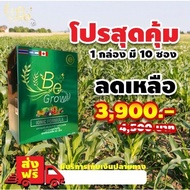 ปุ๋ยชีวภาพ Be Grow บีโกร อาหารเสริมพืชสารเพิ่มประสิทธิภาพพืช 1 กล่อง 10ซอง Kaideeshop888 ของแท้100%