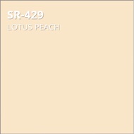 ☒❦SR 429 LOTUS PEACH DAVIES SUN AND RAIN ELASTOMERIC PAINT 4LITERS