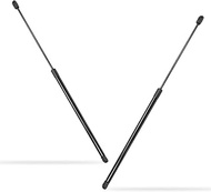 2 Pack Front Hood Strut Lift Support fits Edge 2015-2023，Bonnet Shock Strut Replaces FT4BR16C826AC, 