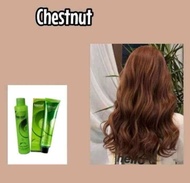 Chestnut (44.77) Bremod Hair Color with Oxidizer