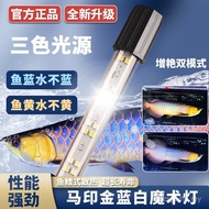 Led Horse Seal Magic Lamp Lamp Gold Special Lamp Fish Tank Lamp Waterproof Lamp Dual Mode Blue White