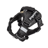NTP - สายรัดอกและเอว Interlaken Tec Harness