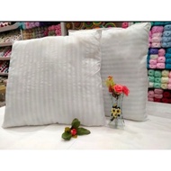 Cushion Pillow 50x50 cm