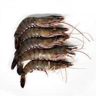 Tiger Prawn Live 1kg [NR Farmers Market ]