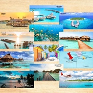 Maldives Souvenir Fridge Magnet Door Food Culture Festivities 10 cm x 5
