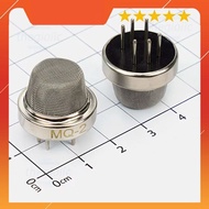 MQ-2 Gas Sensor Head