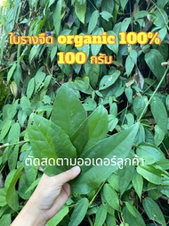 ใบรางจืดสด 100 กรัม(~120 ใบ) organic 100% ตัดสดตามออเดอร์ลูกค้า
