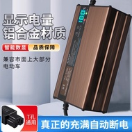 Golden Lithium Battery Digital Display 48V60V72V8A10A54.6 V71.0 Tri-Yuan Iron Lithium High Power Fas