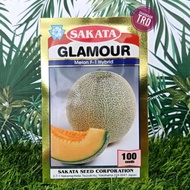 HOT & NEW STOCK 🔥 Paket 100 Seeds GLAMOUR Sakata Seed Japan Biji Benih Tembikai Susu Manis Jepun F1 