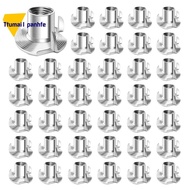 100pcs 1/4-20 Nuts, 4 Prong T-Nuts Threaded Nuts 1/4-20 Inch for Woodworking, Furniture, Rock Climbi