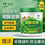 Brand Ferrous Sulfate Plant General Purpose Ferrous Sulfate Special Water-Soluble Fertilizer Iron Tr