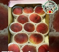 日本山梨/長野/青森/山形水蜜桃 原箱12/13庄 (5kg)