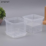 [gongjing3] 10CM Square Root Control Transparent Flower Pot For Phalaenopsis Orchid Cattleya Plantin