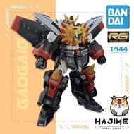 BANDAI RG GAOGAIGAR - Real Grade King of The Braves GGG GAO GAI GAR SRW Plastic Model Kit