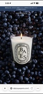 Diptyque Baies 70g 漿果 小型蠟燭