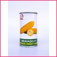 ۩ ◐ ♆ Condor Bravado F1 Hybrid Sweet Corn Seeds
