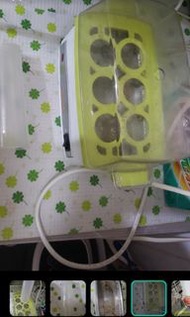 蒸蛋器