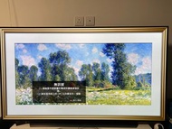 LG OLED CXPCA 65吋 4K 120hz UHD OLED TV