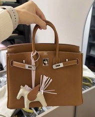 Hermes Birkin 25 gold 金棕 銀扣 togo