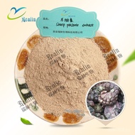 Inquiries Sufficient Price Extracts Ready Stock Placenta Sheep Placenta Sheep Placenta Powder HF5C