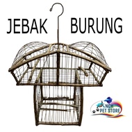 Jebak Burung Serindit