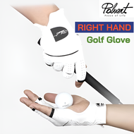 [🚚จัดส่งไว] POLVERT Right Hand Golf Glove