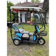 3 wheels electric bike 3 seater etrike