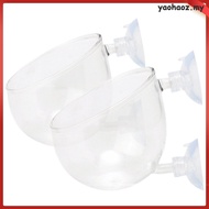 2 Pcs Plant Fish Tank Aquarium Cup Food Dispenser Planter Stand Other Supplies Flowerpot Glass  yaohaoz