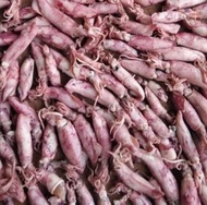 cumi asin 1kg cumi kering 1kg gesek cumi cumi asin besar cumi asin kecil 1kg