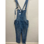 J893 Lowly Denim Overalls farm