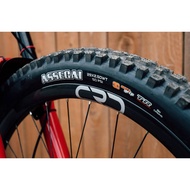 Maxxis Torch Pace 29x2.10 Tyre 29" MTB Foldable Tayar