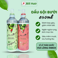 Dầu Gội Bưởi Valert Grapefruit Cặp Dầu Gội Xả Bưởi Valert giảm gãy rụng khô xơ và k.ích mọc tóc | Bi