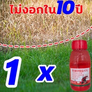 ไม่งอกใน 20 ปี มีประสิทธิภาพ ยาฆ่าหญ้า รุ่นเข้มข้น 1 ขวด ผสมน้ำ 18-20 ลิตร ยาฆ่าหญ้าแบบผง ทำให้รากเน่าและตาย ผงฆ่าหญ้า ขจัดได้อย่างไม่มีปัญหา ถั่วลิสงน้ำ ฮิวมูลัส หญ้าเอ็นวัว มุง ฯลฯ คุมหญ้านาข้าว กำจัดวัชพืชได้ 1 ไร่ ผงกำจัดหญ้า ผงกำจัดหญ้าและกอไผ่