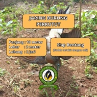 DOVE NET DOVE NET DOVE NET NET FOR DOVE NET FOR DOVE NET FOR DOVE NET FOR LARGE BIRD NET FOR LARGE B