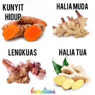 TURMERIC/LENGKUAS/YOUNG GINGER/OLD GINGER