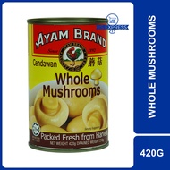 AYAM BRAND Whole Mushroom 420G - Cendawan Biji