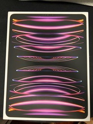 iPad Pro 2022 12.9 M2 6th Gen 256GB Wifi Apple 蘋果