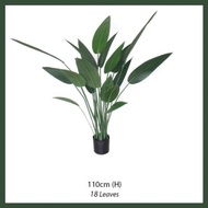 (READY STOCK) Pokok Hiasan Viral SKYBIRD PREMIUM / Pokok SKYBIRD / Fiddle Leaf Fig / Artificial Plan