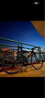 Cannondale公路單車
