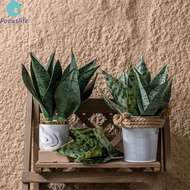 Artificial Snake Plant Easy To Arrange Indoor Plant Decoration For Bathroom