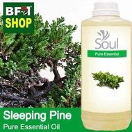 Pure Essential Oil (EO) - Pine - Sleeping Pine Essential Oil - 1L
