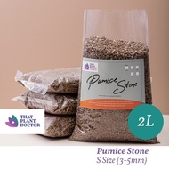 Pumice Stone Fine Grade (2L) S Size (3-5mm) (Suitable for Succulents & Small potted plants)
