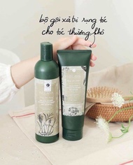 [Weilaiya Hàng Chính Hãng]. Dầu gội xả gừng weilaiya chính hãng dành cho tóc dầu bết. Dầu gội xả gừn