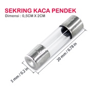 1PCS GLASS FUSE 250V GLASS FUSE 250V GLASS FUSE